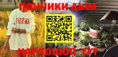 индика Шелехов