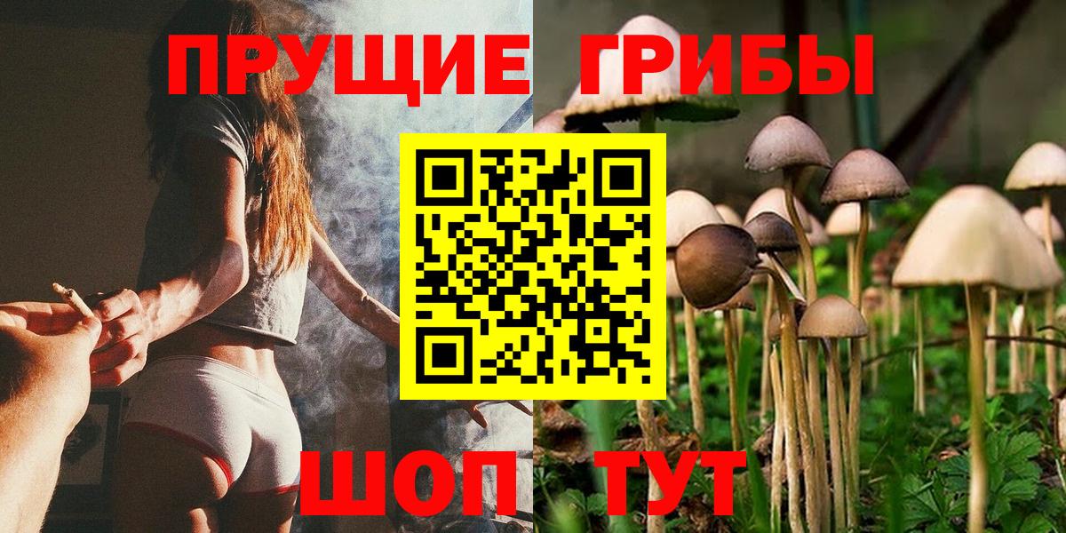 Троицк  Псилоцибиновые грибы мухоморы  Псилоцибиновые грибы ЛСД  Вход с VPN 