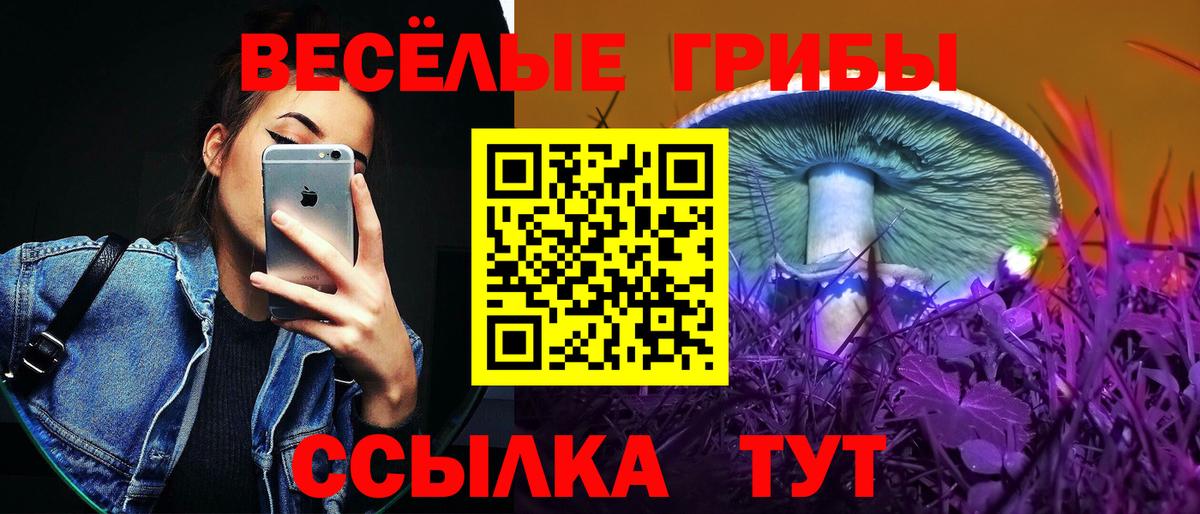 Псилоцибиновые грибы MAGIC MUSHROOMS Троицк